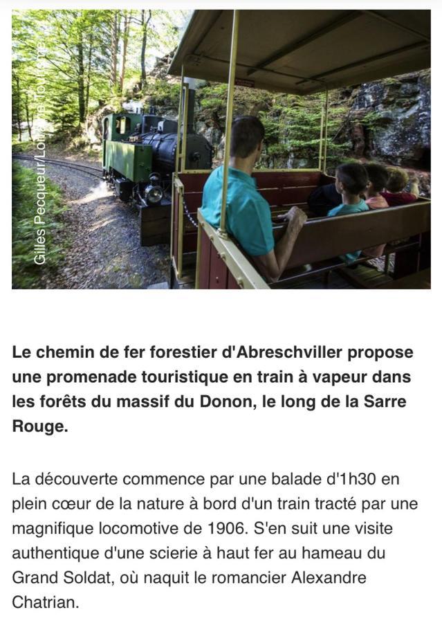 Maison Spacieuse Et Accueillante A Cirey-Sur-Vezouze + Jardin Bagian luar foto